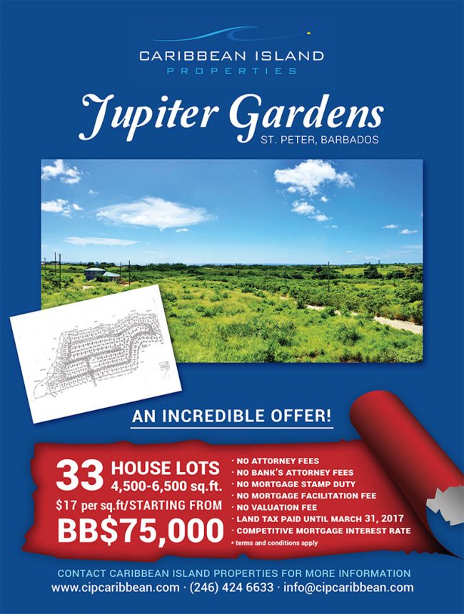 Kainos Creative Studios Flyers