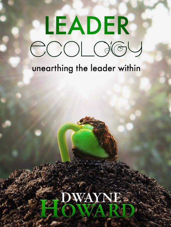 Kainos Creative Studios Design